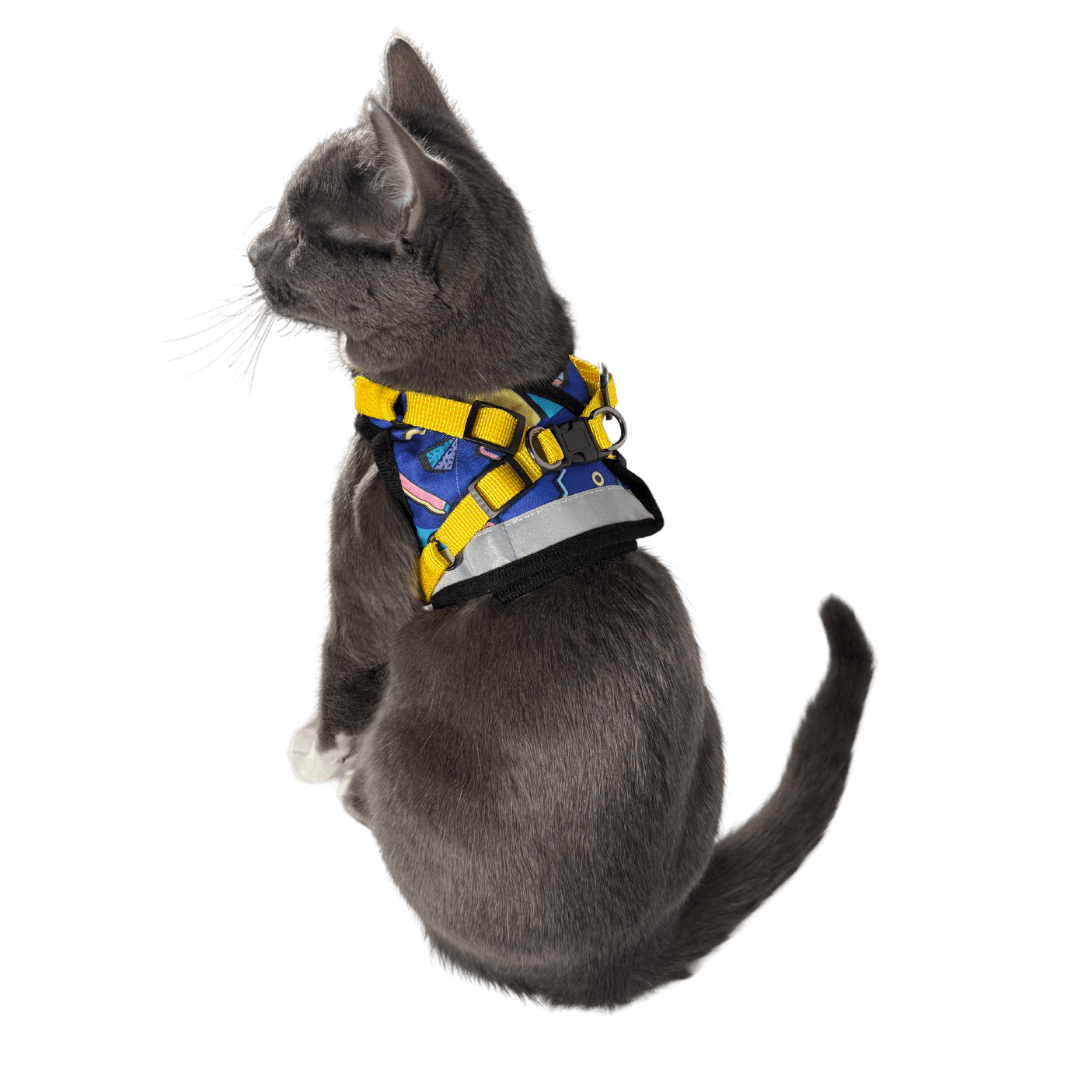 "The True Adventurer" Reflective Cat & Kitten Harness and Leash