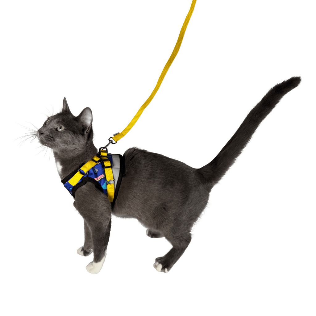 "The True Adventurer" Reflective Cat & Kitten Harness and Leash
