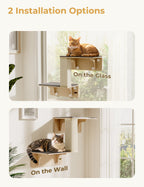 Double Cat Shelves with Cat Scratching Post for Wall Window with Solid Wood Frame