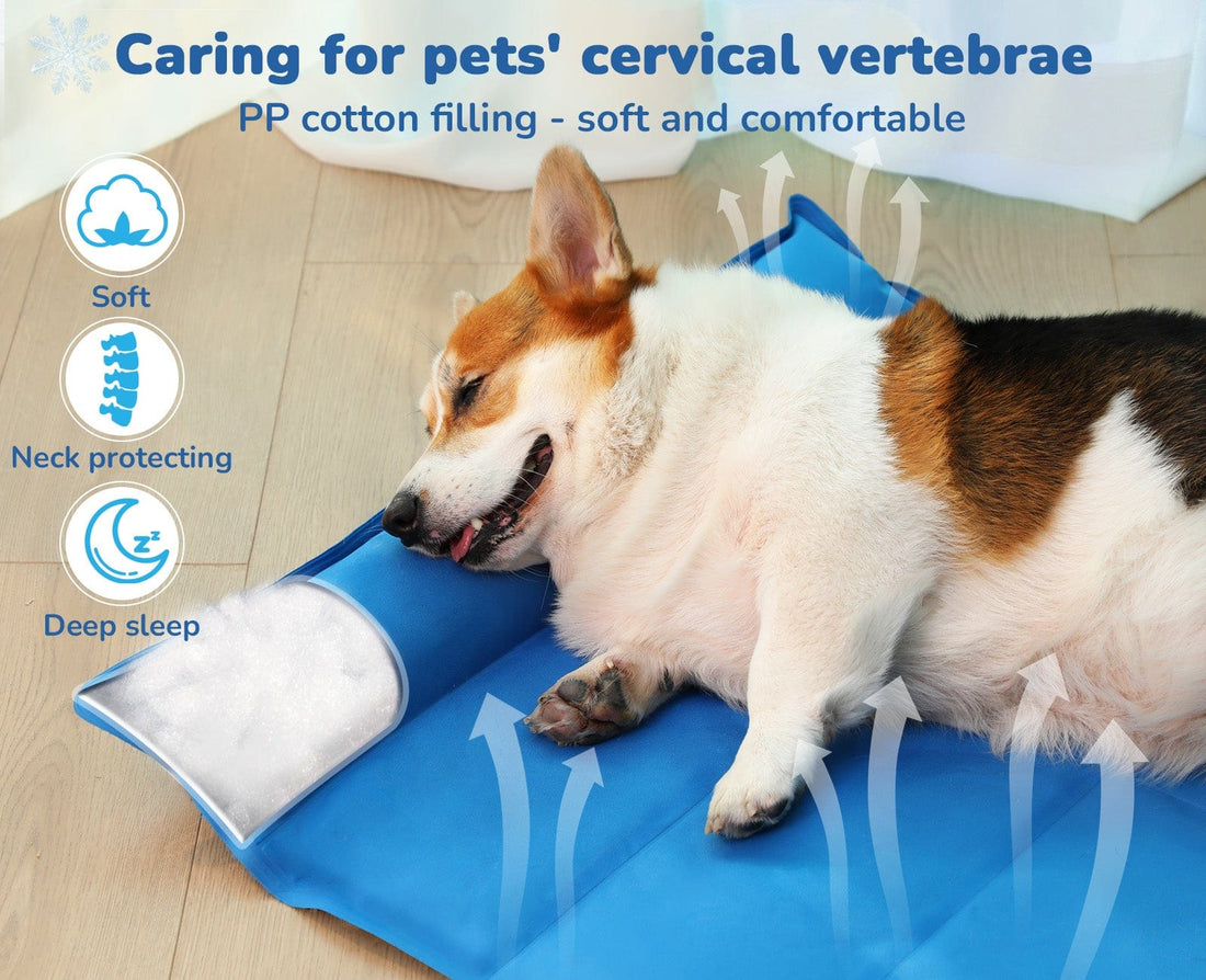 M-XL Dog Cooling Mat with Pillow