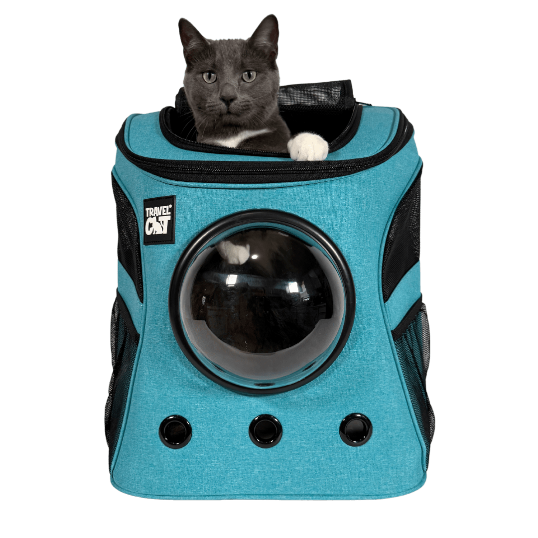Fat Cat & Day Tripper Bundle