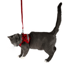 "The True Adventurer" Reflective Cat & Kitten Harness and Leash
