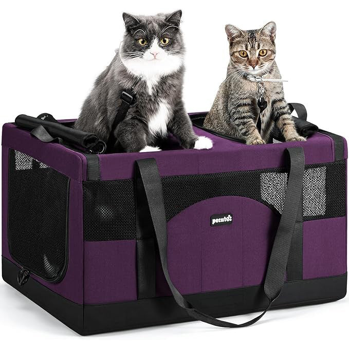 Cat Dual-Compartment Frame Handbag