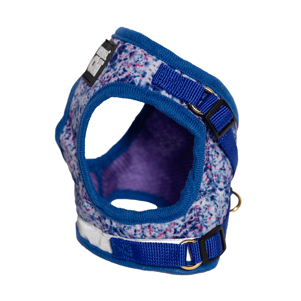 "The True Adventurer" Reflective Cat & Kitten Harness and Leash