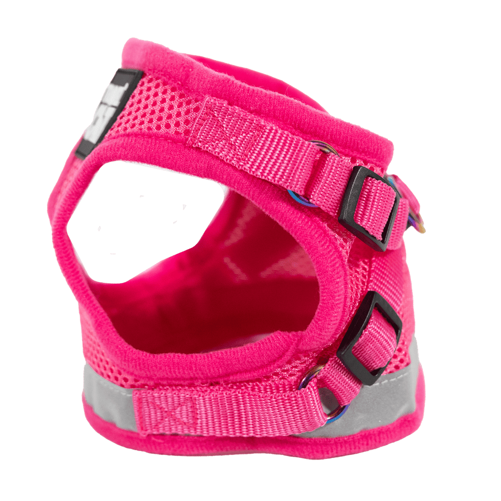 "The True Adventurer" Reflective Cat & Kitten Harness and Leash