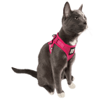 "The True Adventurer" Reflective Cat & Kitten Harness and Leash