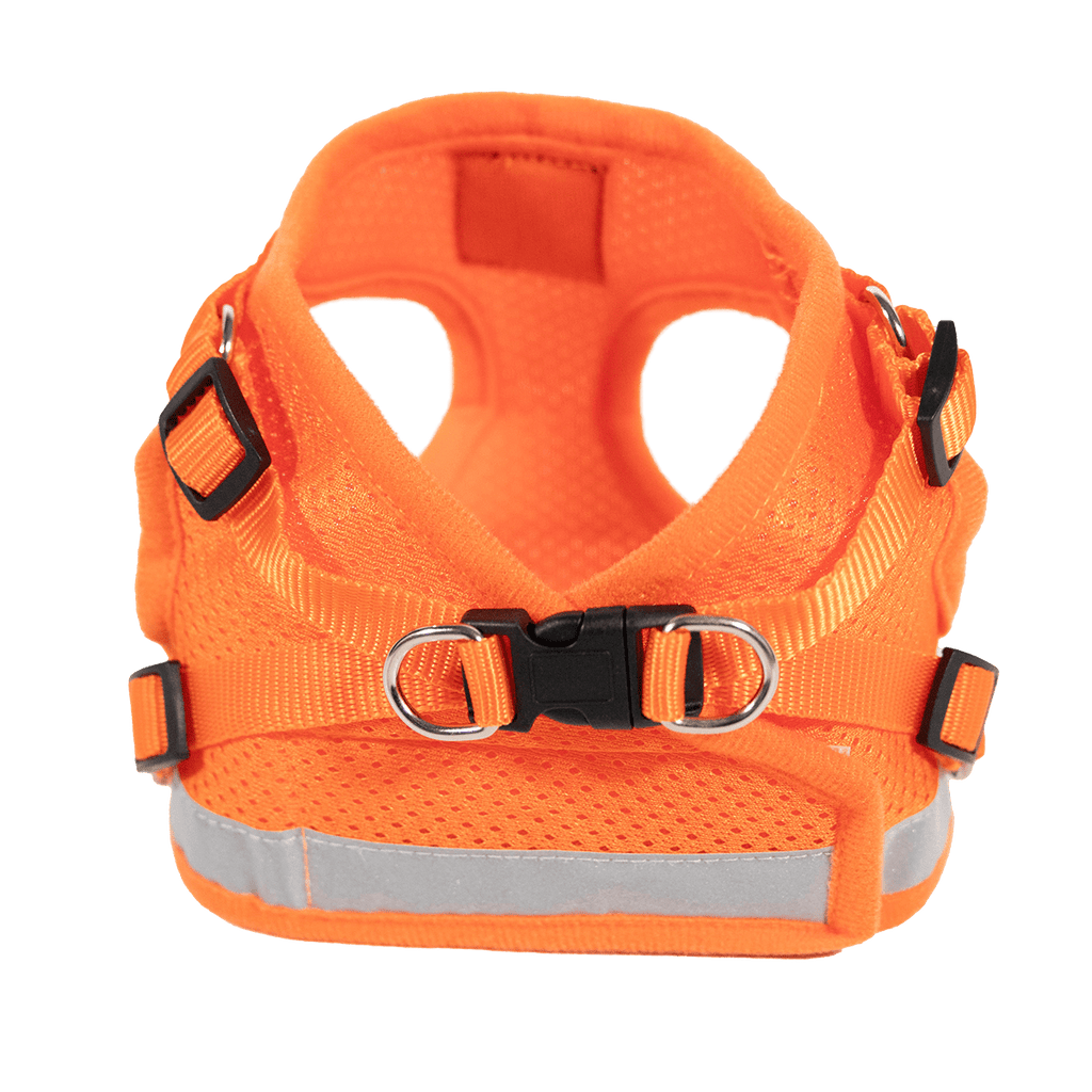 "The True Adventurer" Reflective Cat & Kitten Harness and Leash
