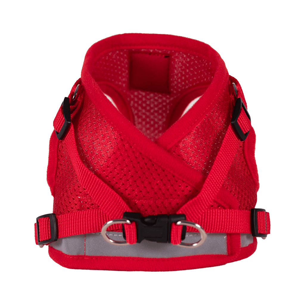 "The True Adventurer" Reflective Cat & Kitten Harness and Leash