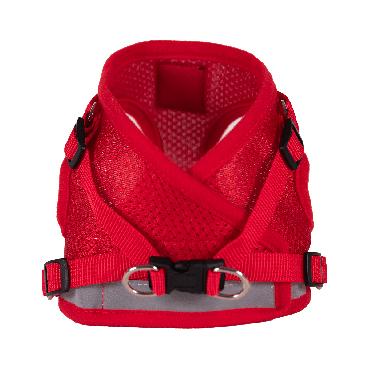 "The True Adventurer" Reflective Cat & Kitten Harness and Leash