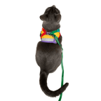 "The True Adventurer" Reflective Cat & Kitten Harness and Leash
