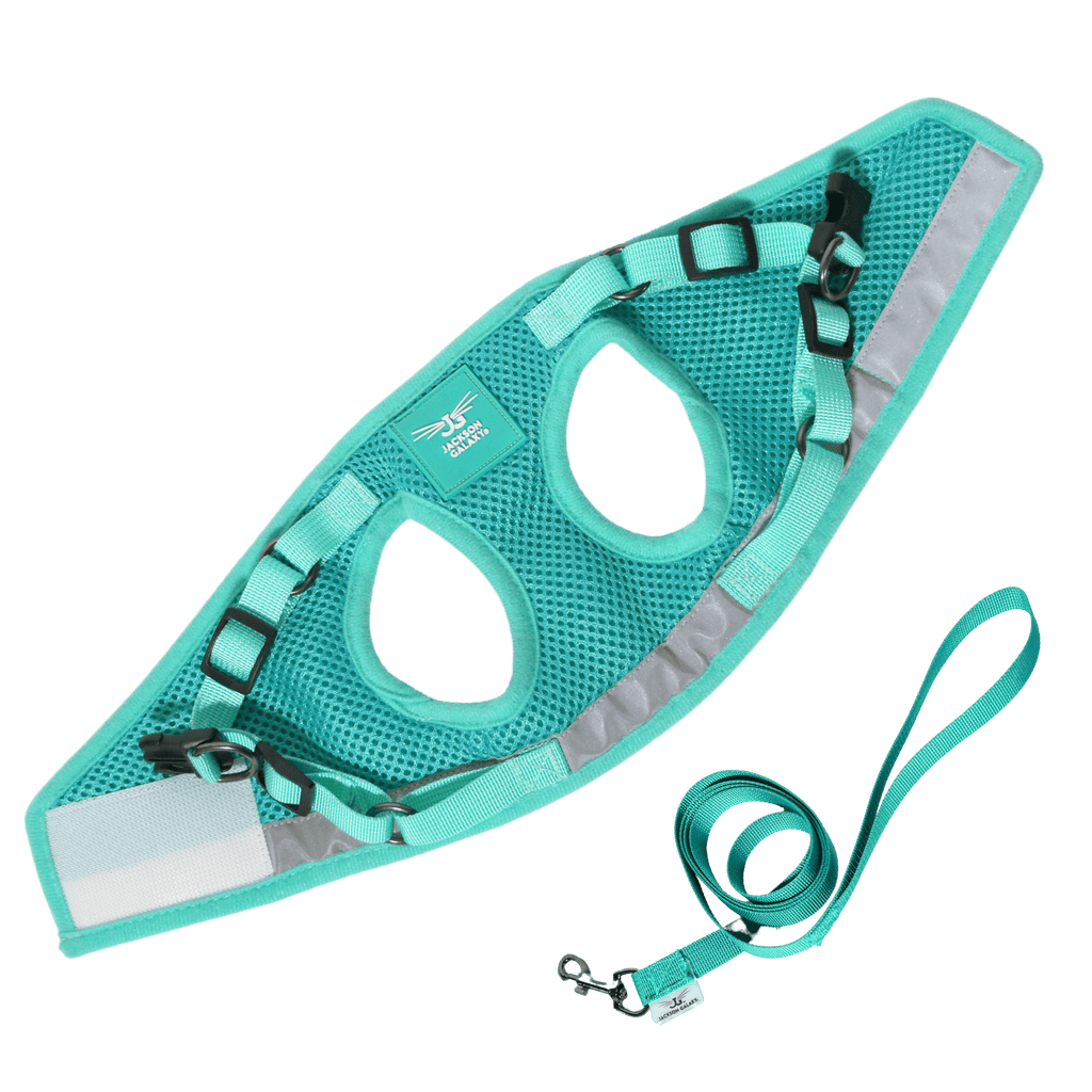 Jackson Galaxy x Travel Cat Complete Bundle