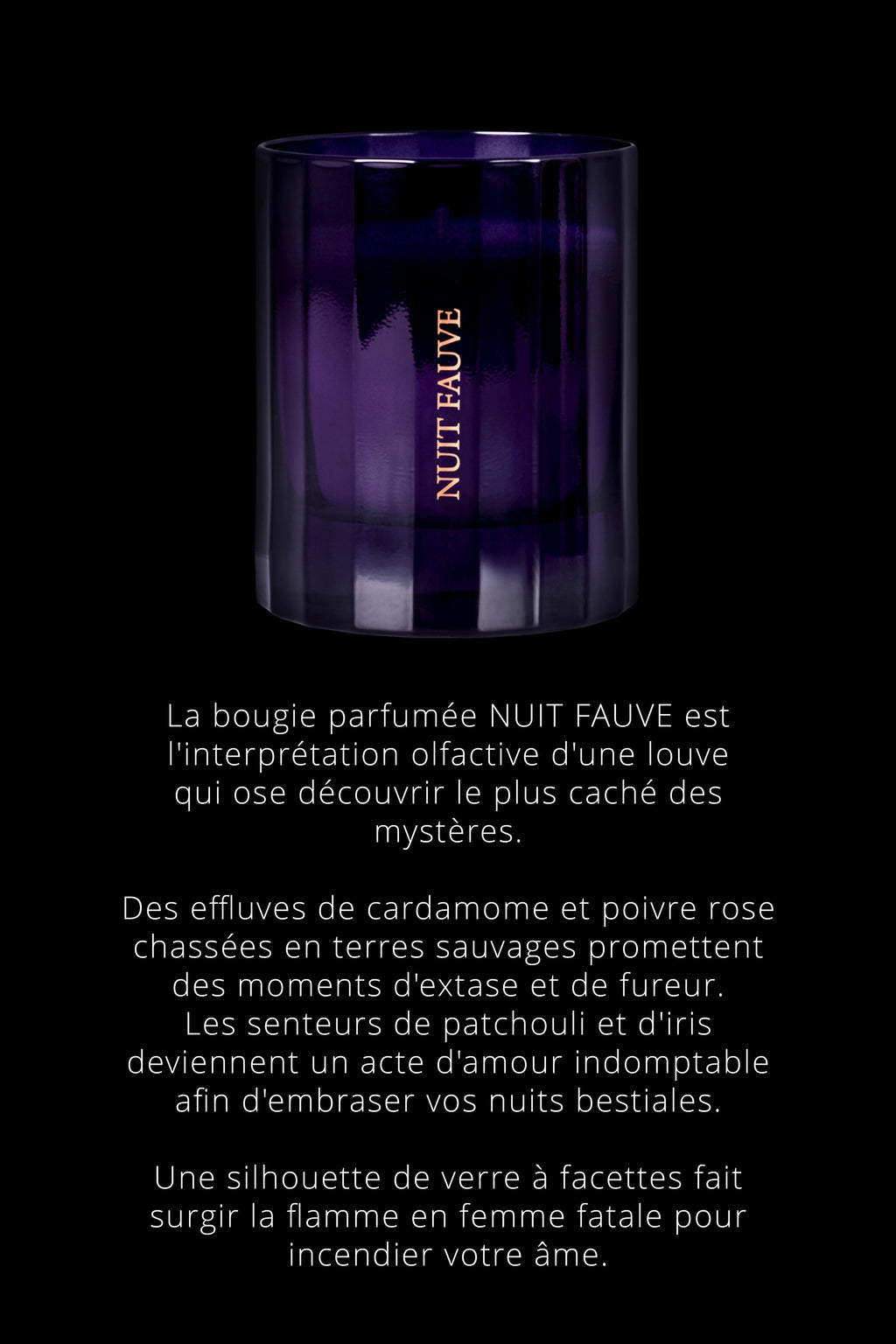 Bougie d'ambiance notes Chyprées - Nuit Fauve