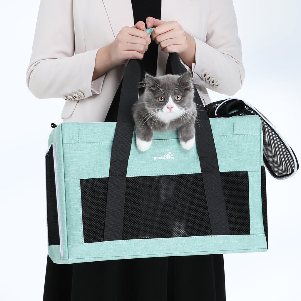 Airline Approved Cat Carrier Handbag Extra Stable Built-in Frame