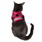 "The True Adventurer" Reflective Cat & Kitten Harness and Leash