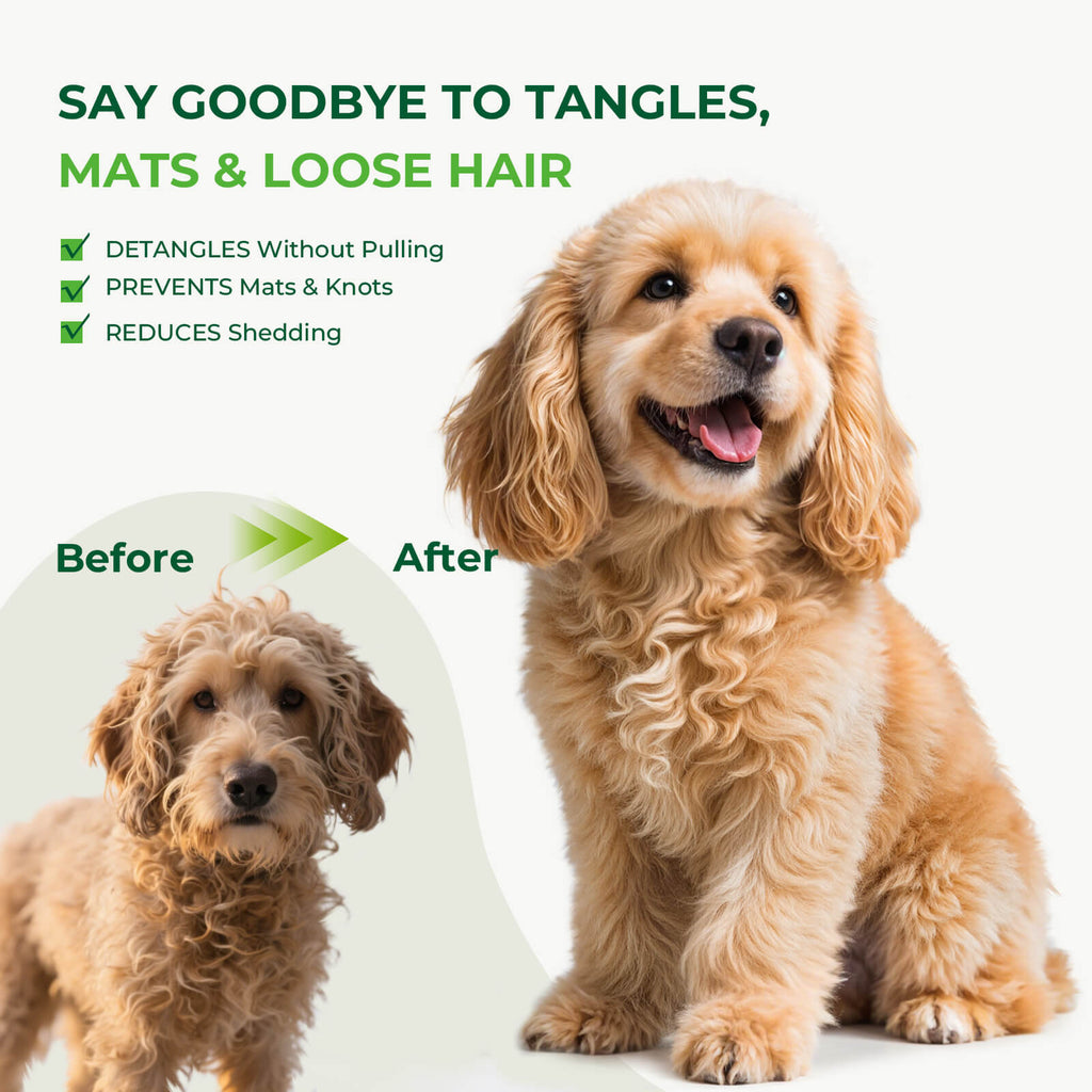 Professional Slicker Brush for Dogs & Pet Comb Grooming Dog Brush