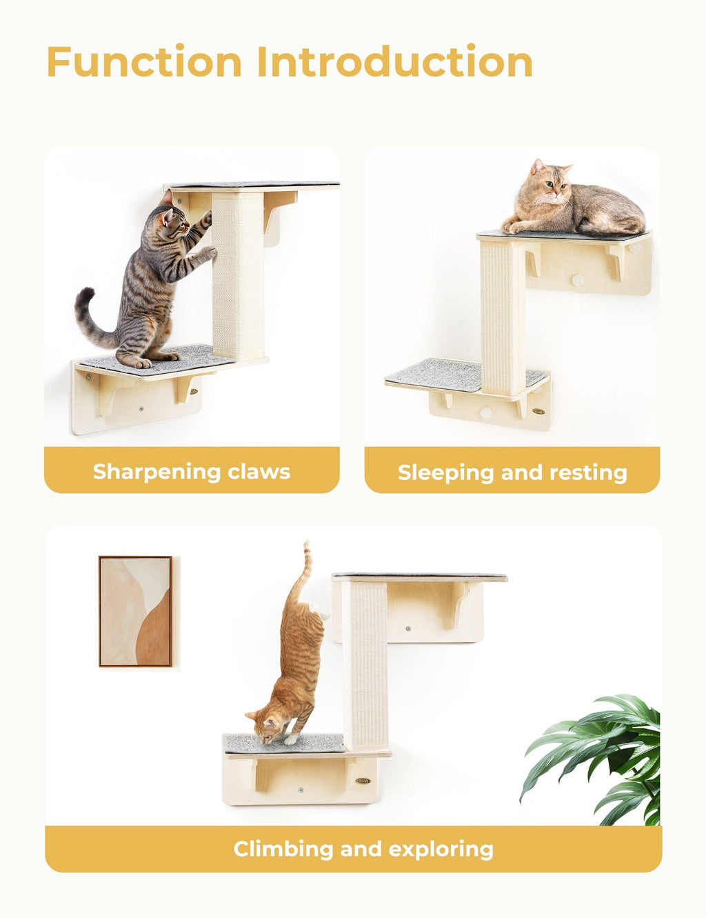 Double Cat Shelves with Cat Scratching Post for Wall Window with Solid Wood Frame