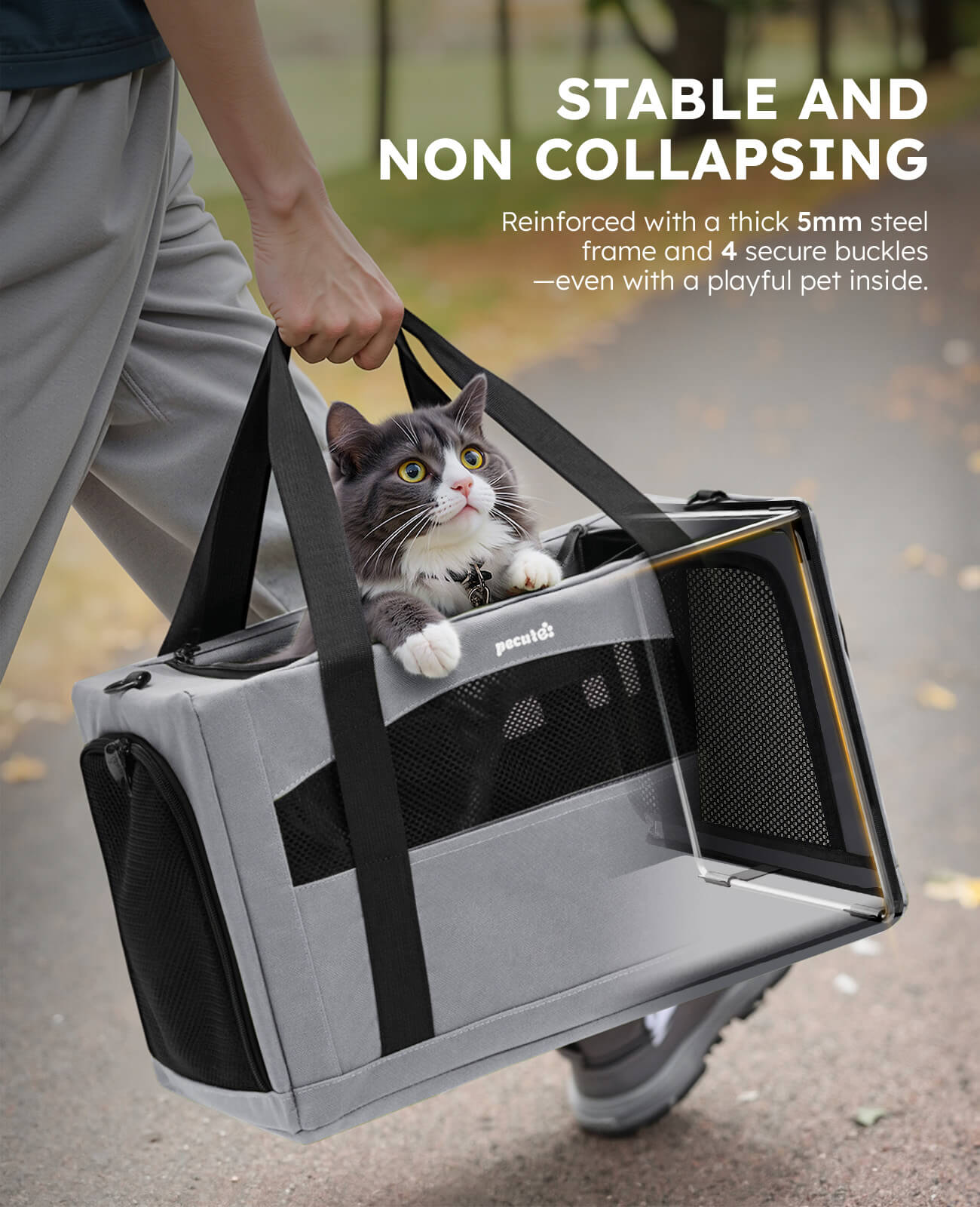 Cat Carrier Handbag Stable Breathable and Portable for Travel and Outing