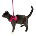 "The True Adventurer" Reflective Cat & Kitten Harness and Leash