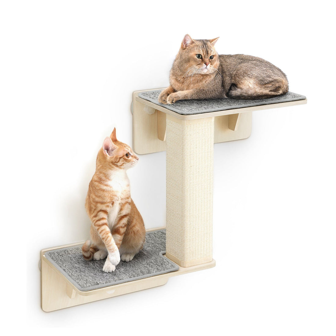 Double Cat Shelves with Cat Scratching Post for Wall Window with Solid Wood Frame
