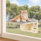 Wood Wall-Mounted Cat Climbing Shelf