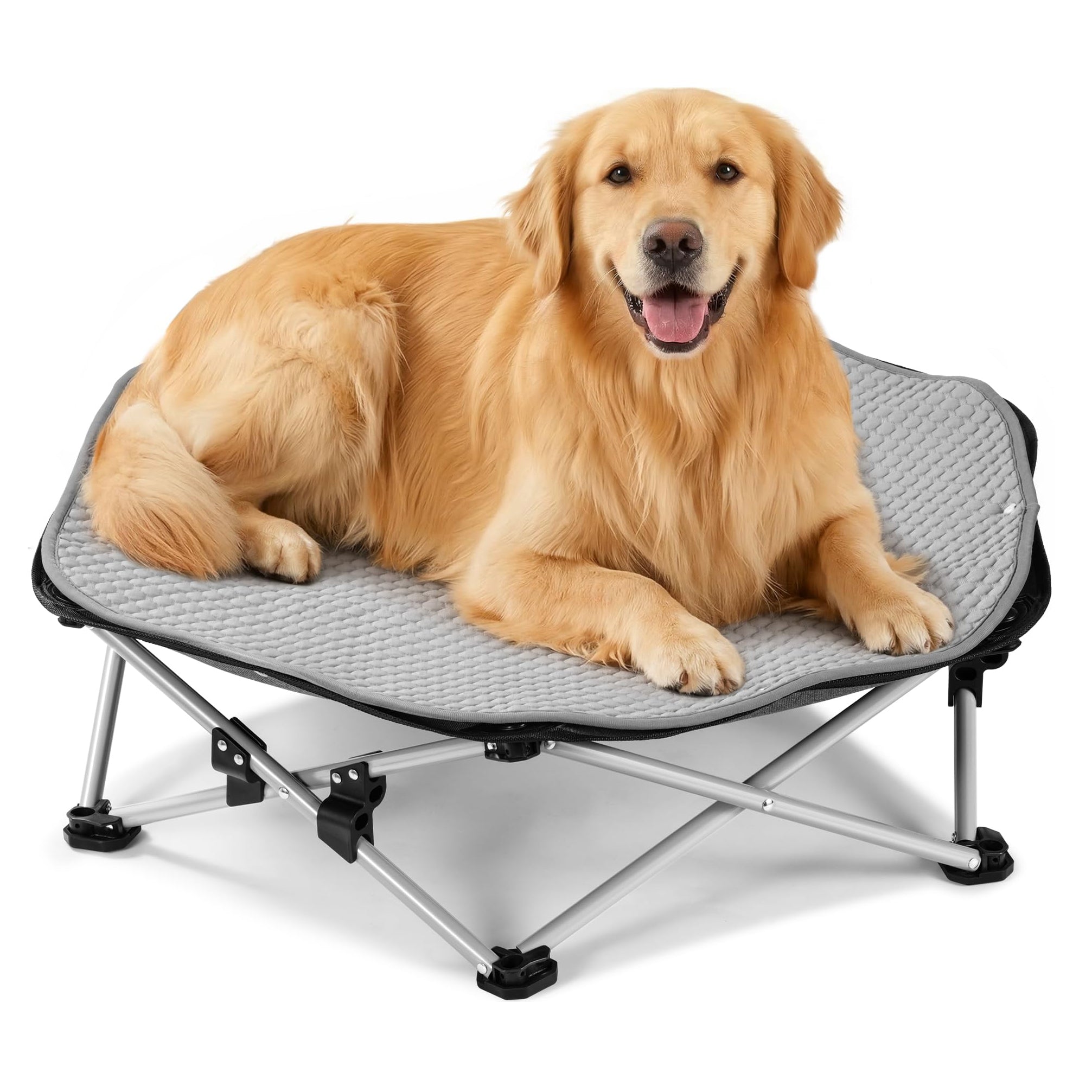 Elevated Dog Bed with Cooling Blanket
