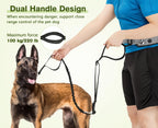 Hands Free Dog Leash