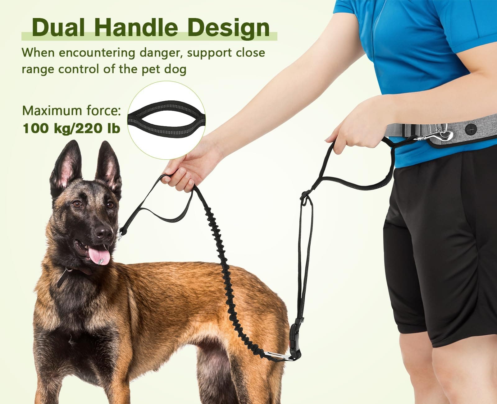 Hands Free Dog Leash