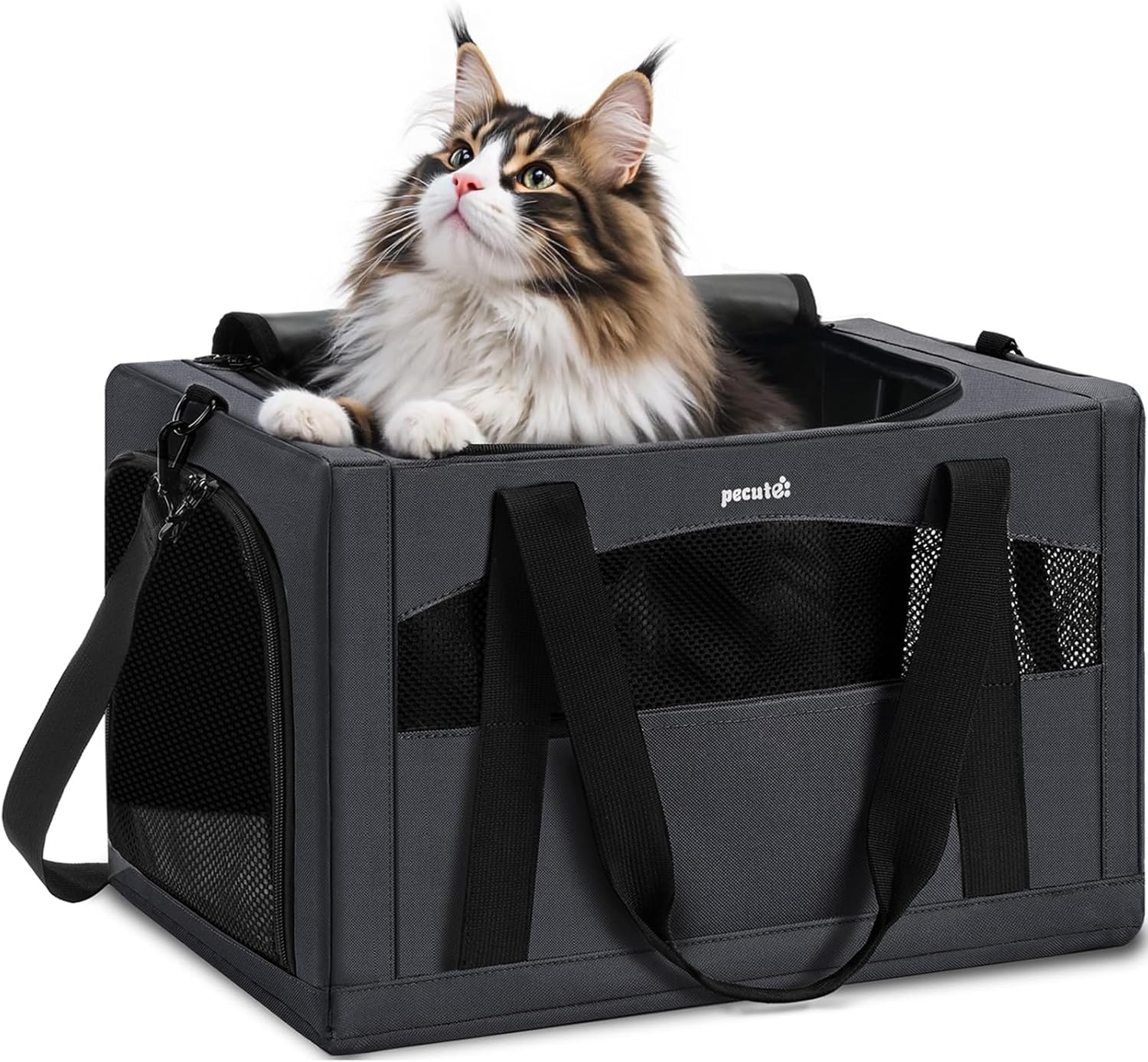 Cat Carrier Handbag Stable Breathable and Portable for Travel and Outing