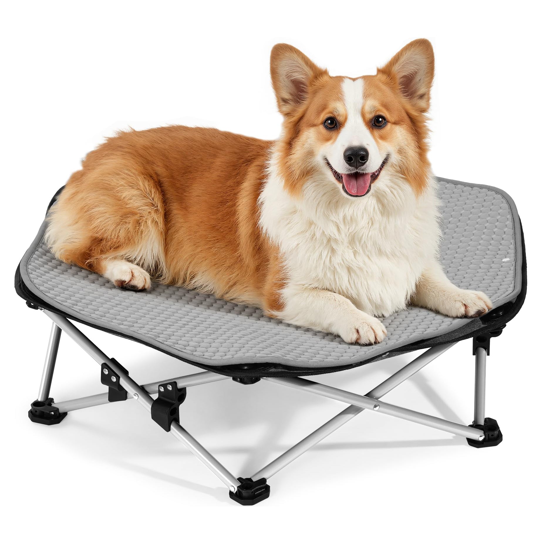 Elevated Dog Bed with Cooling Blanket