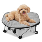 Elevated Dog Bed with Cooling Blanket