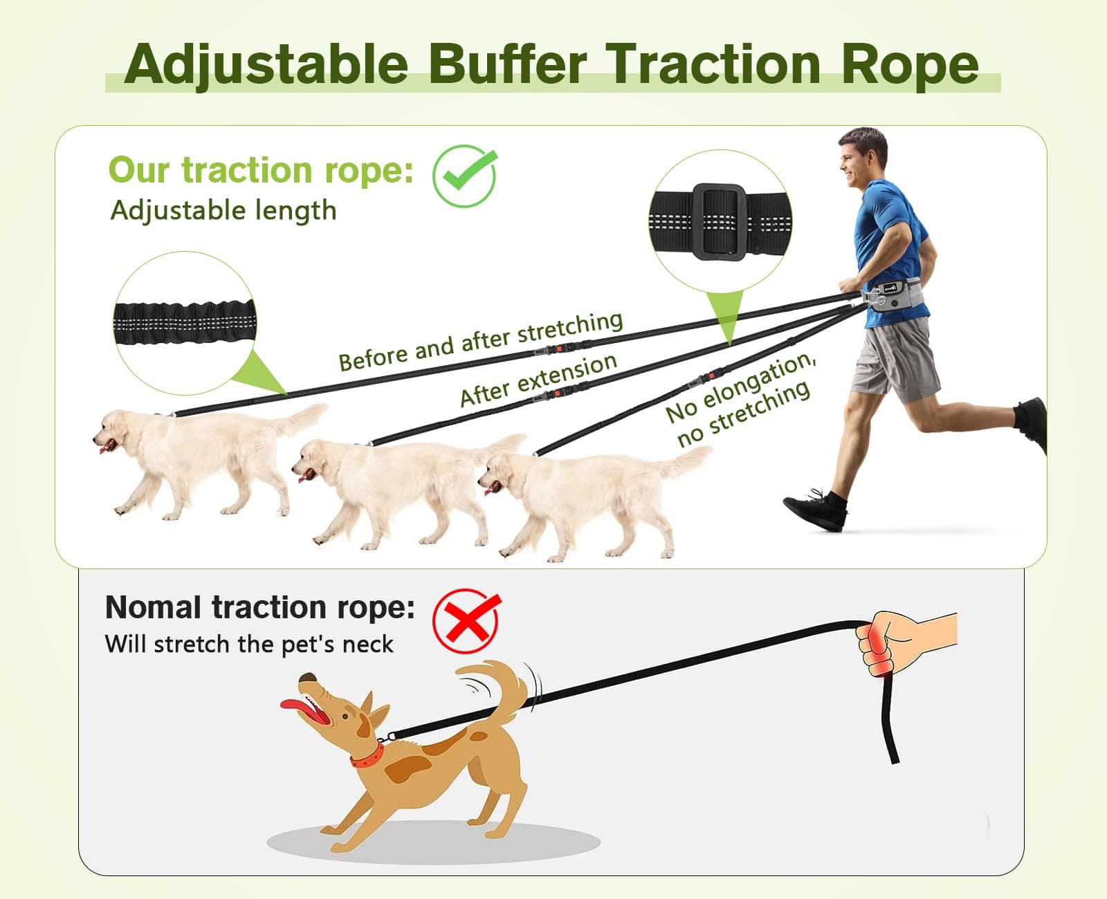 Hands Free Dog Leash