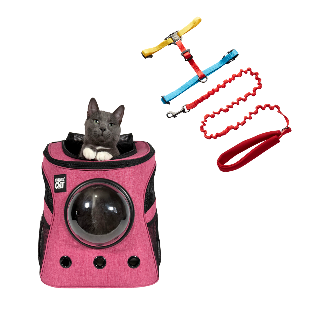 Fat Cat & Day Tripper Bundle