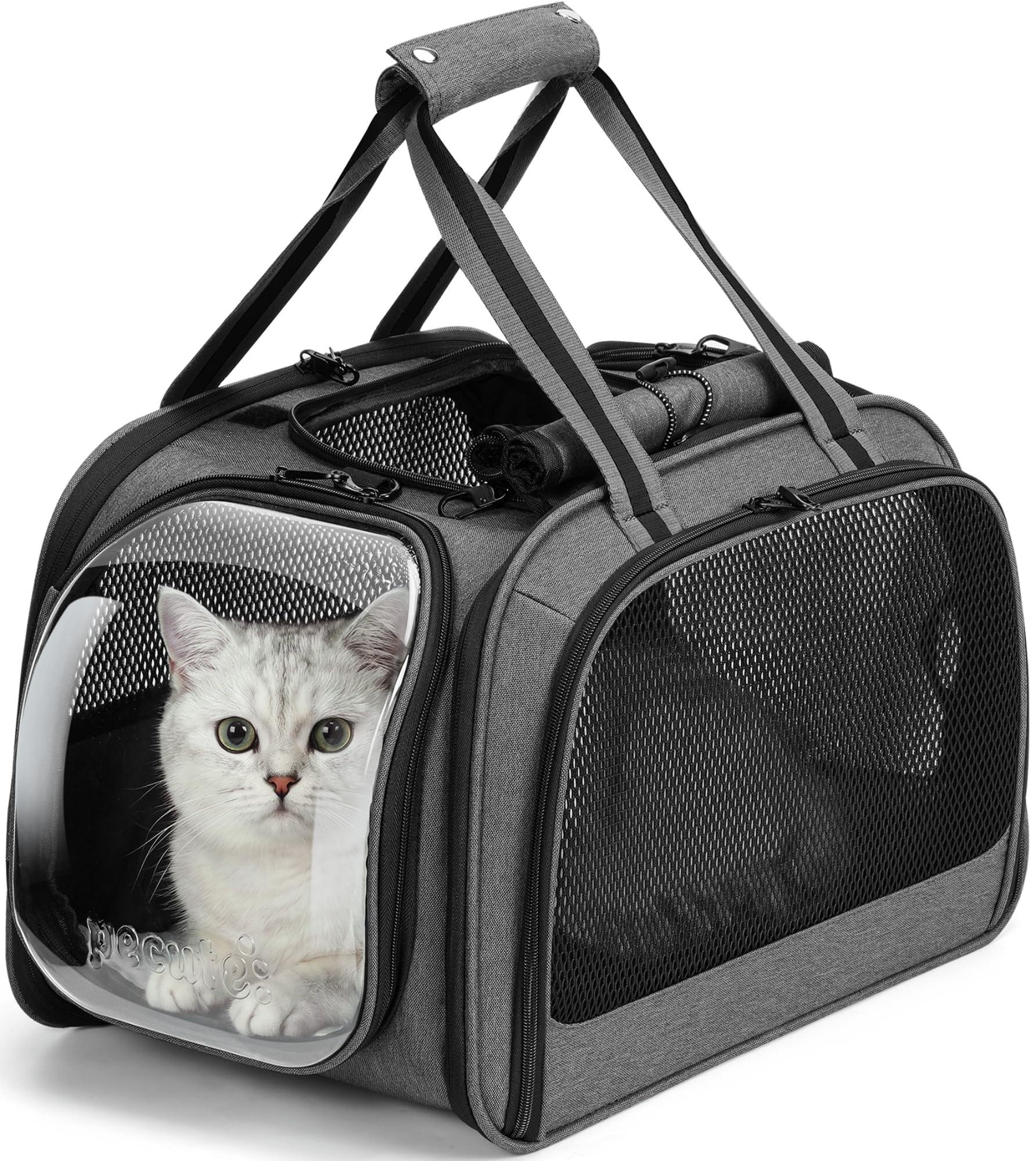 Pecute Cat Carrier Bubble Window Breathable Stable Pet Carrier Handbag