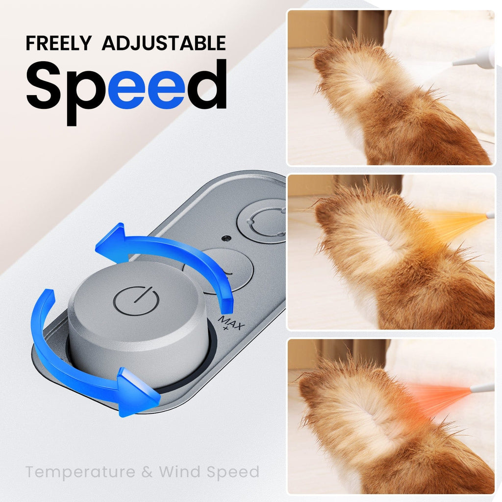 Dog Dryer with Cool-Warm-Hot Cycle Mode