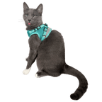 Jackson Galaxy x Travel Cat Complete Bundle