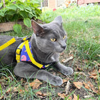 The 90s Bundle! Bandana, Harness & Leash