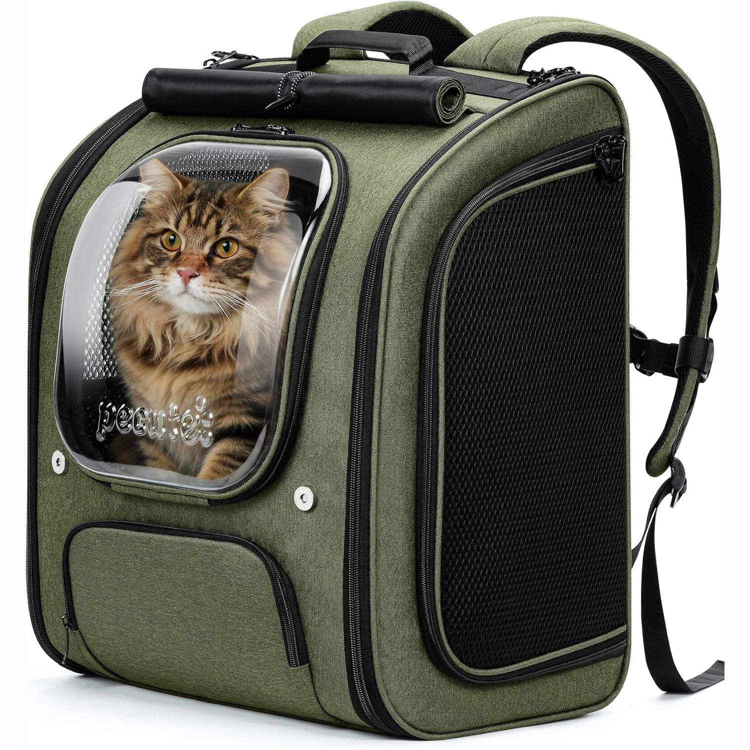 Bubble Cat Backpack Carrier Large Space Ergonomic 3D Design Breathable & Shaded