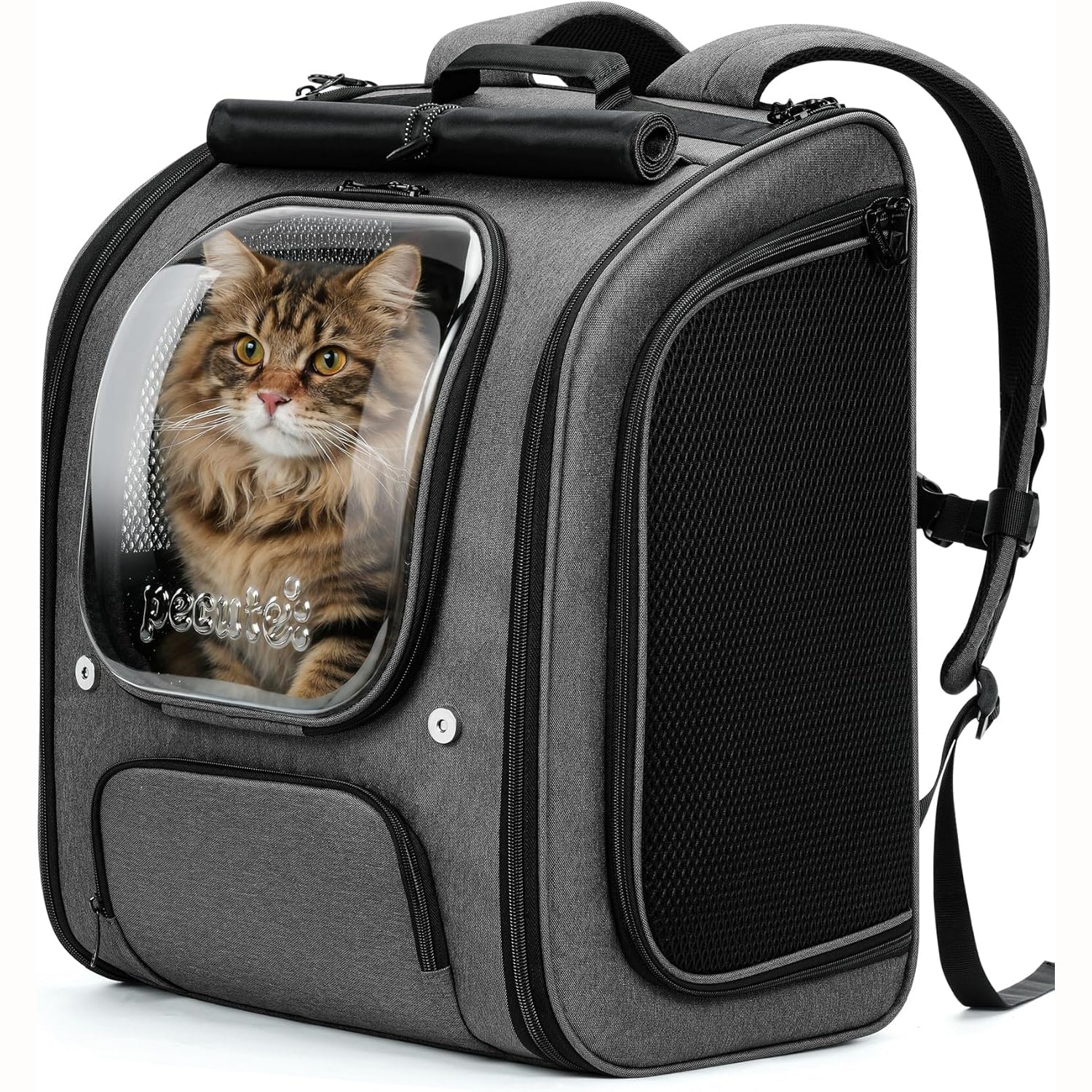 Bubble Cat Backpack Carrier Large Space Ergonomic 3D Design Breathable & Shaded
