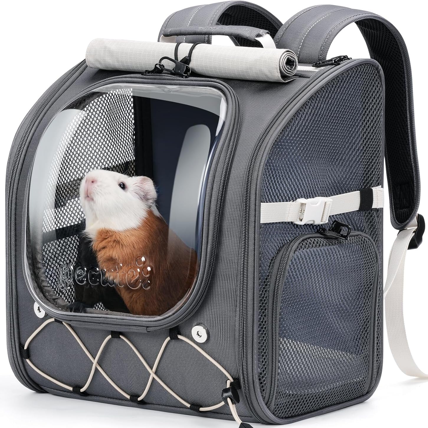 Small Pet Carrier Breathable Guinea Pig Carrier