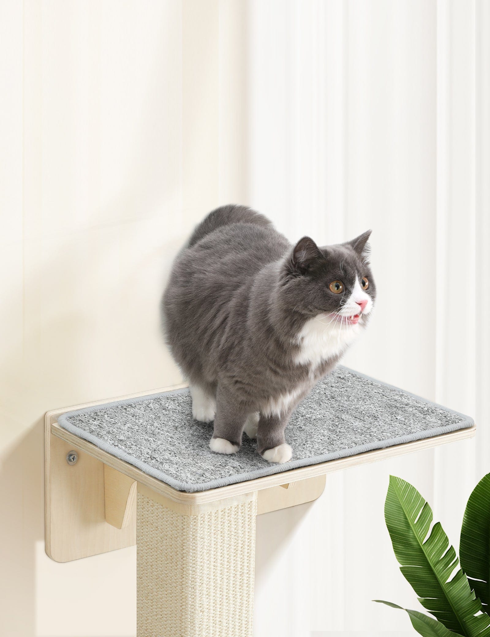 Double Cat Shelves with Cat Scratching Post for Wall Window with Solid Wood Frame
