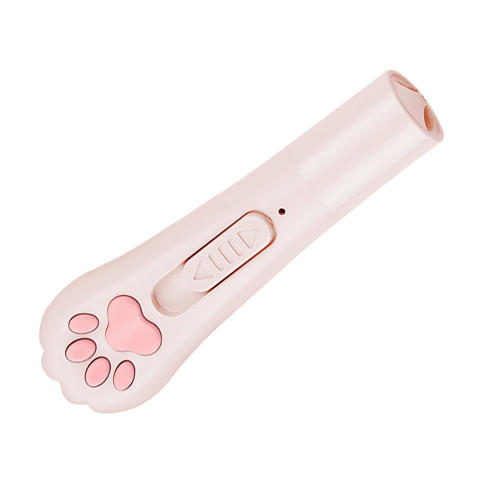 Laser Pointer