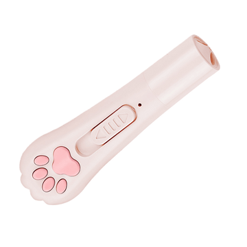 Laser Pointer