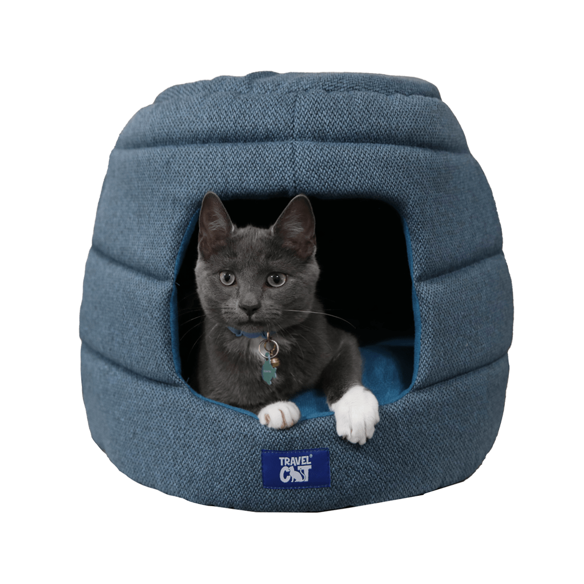 "The Fat Cat" Cat Backpack & Meowbile Home Bundle