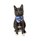 “The Groovy Cat” Bandana & Cat Collar