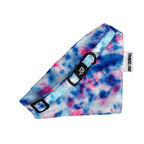 “The Groovy Cat” Bandana & Cat Collar