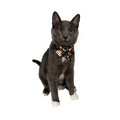 "The Hawaiian" Bandana & Collar Set