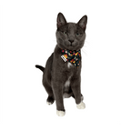 "The Hawaiian" Bandana & Collar Set
