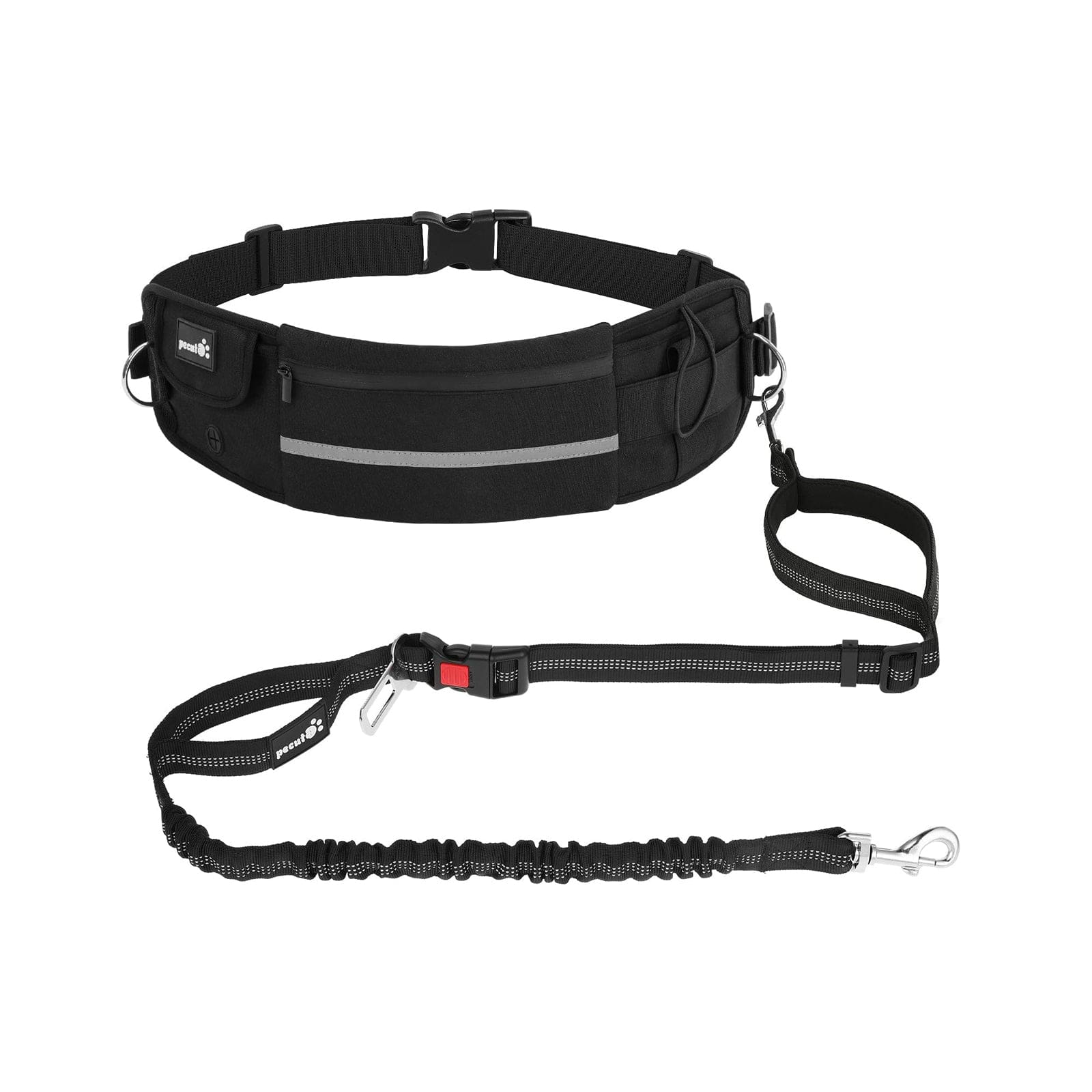 Hands Free Dog Leash