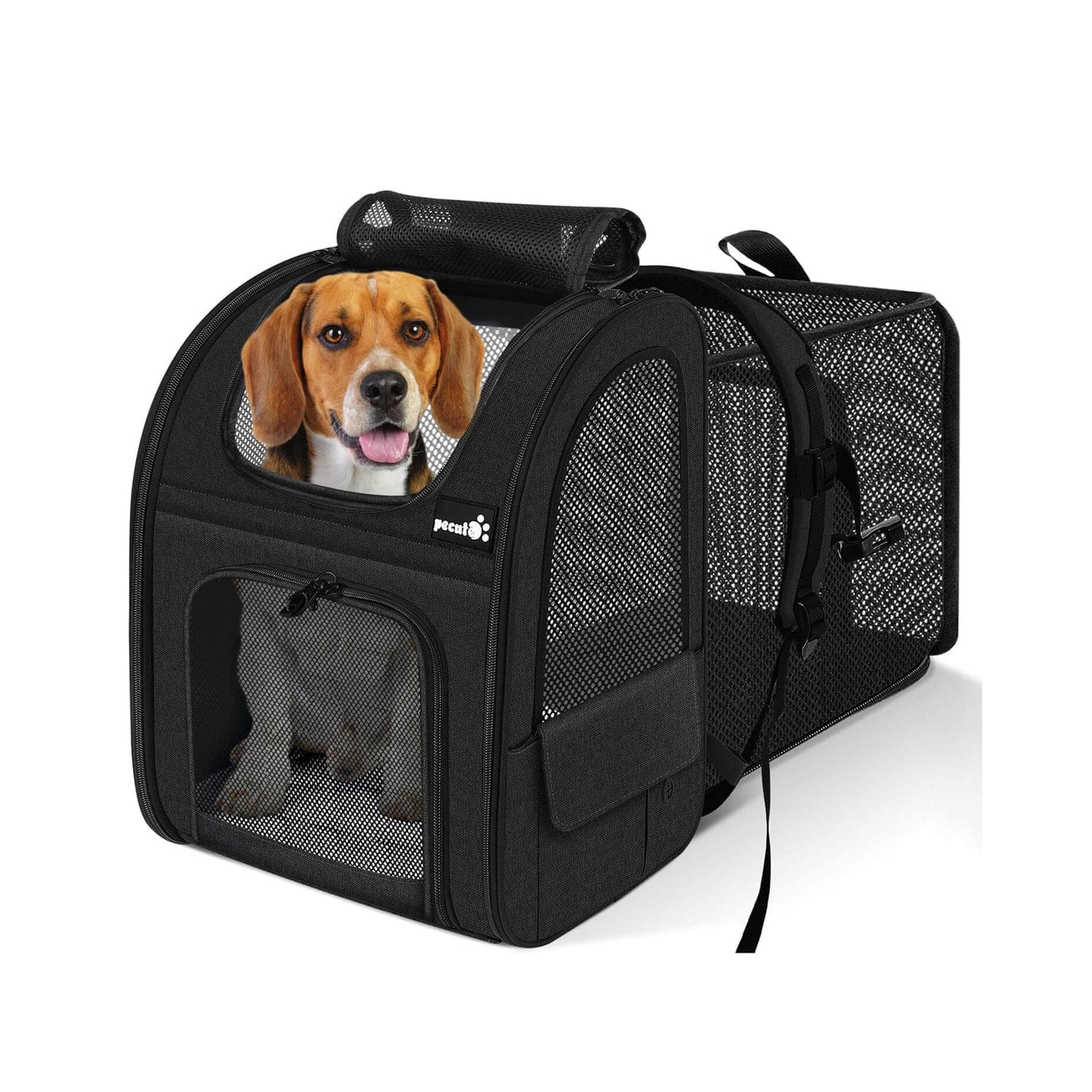 Cat Carrier Dog Backpack Expandable（Black）