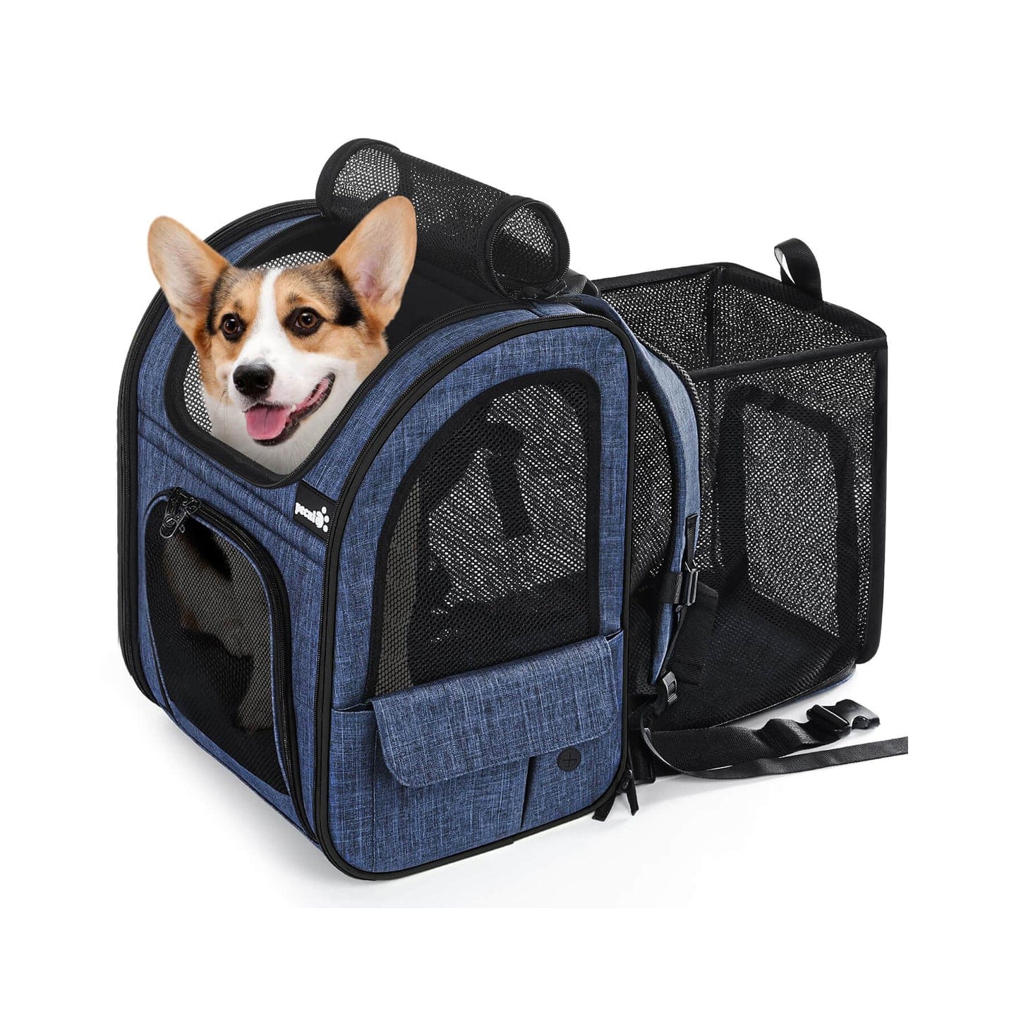 Cat Carrier Dog Backpack Expandable (Blue)